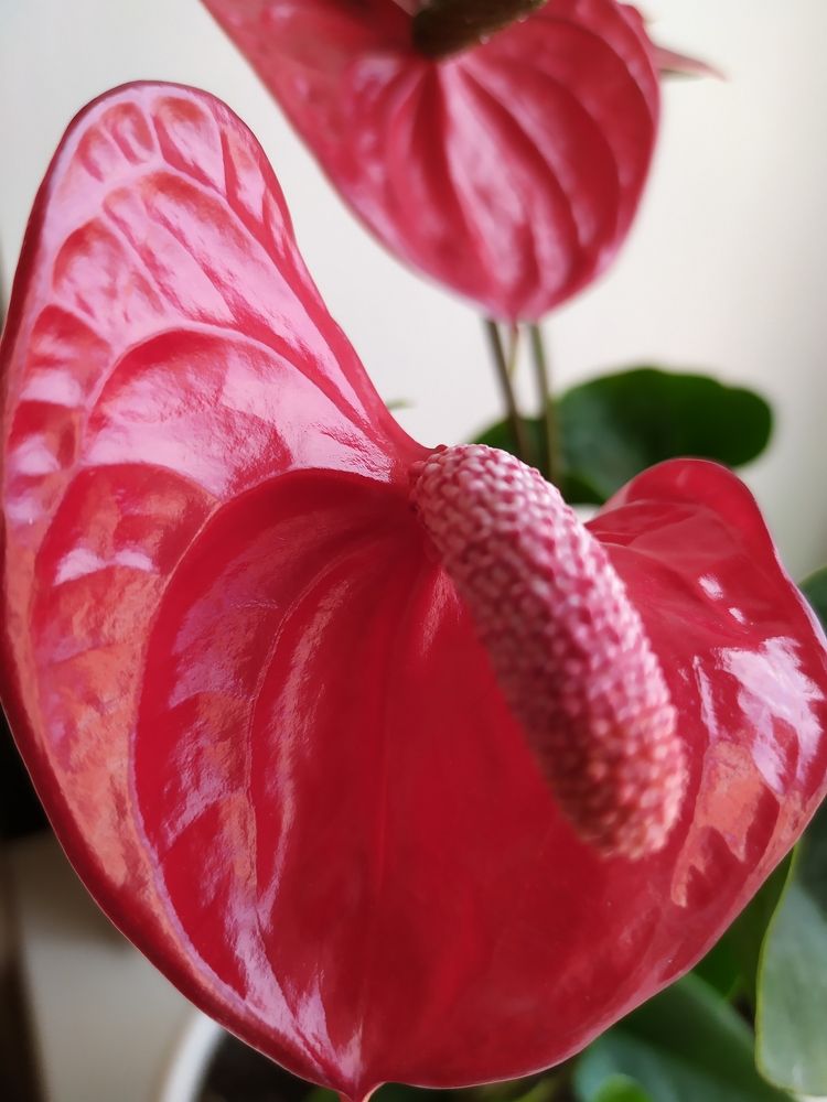 Photograph by Татьяна Клемба