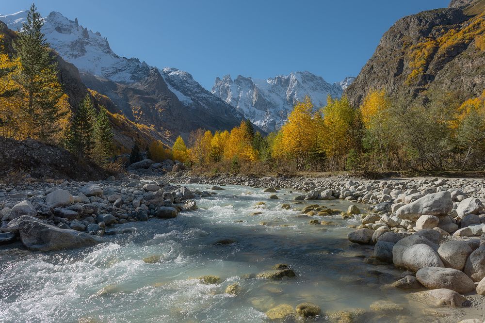 Photograph by Ekaterina Romanova