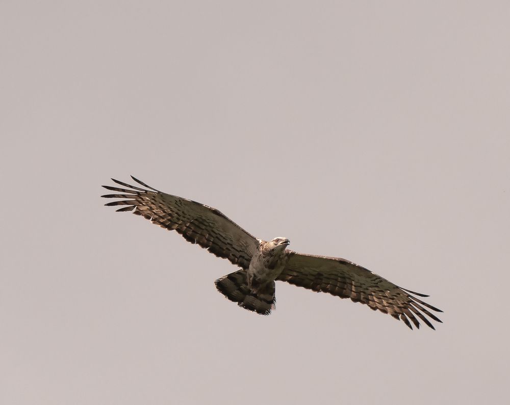 Photograph by Сергей Шерстнев