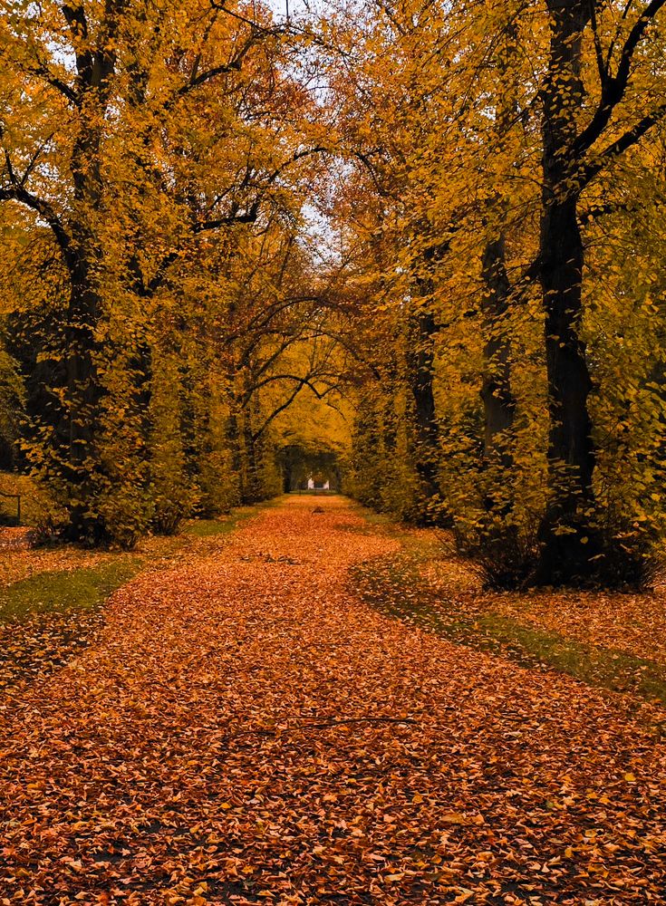 Photograph by Светлана