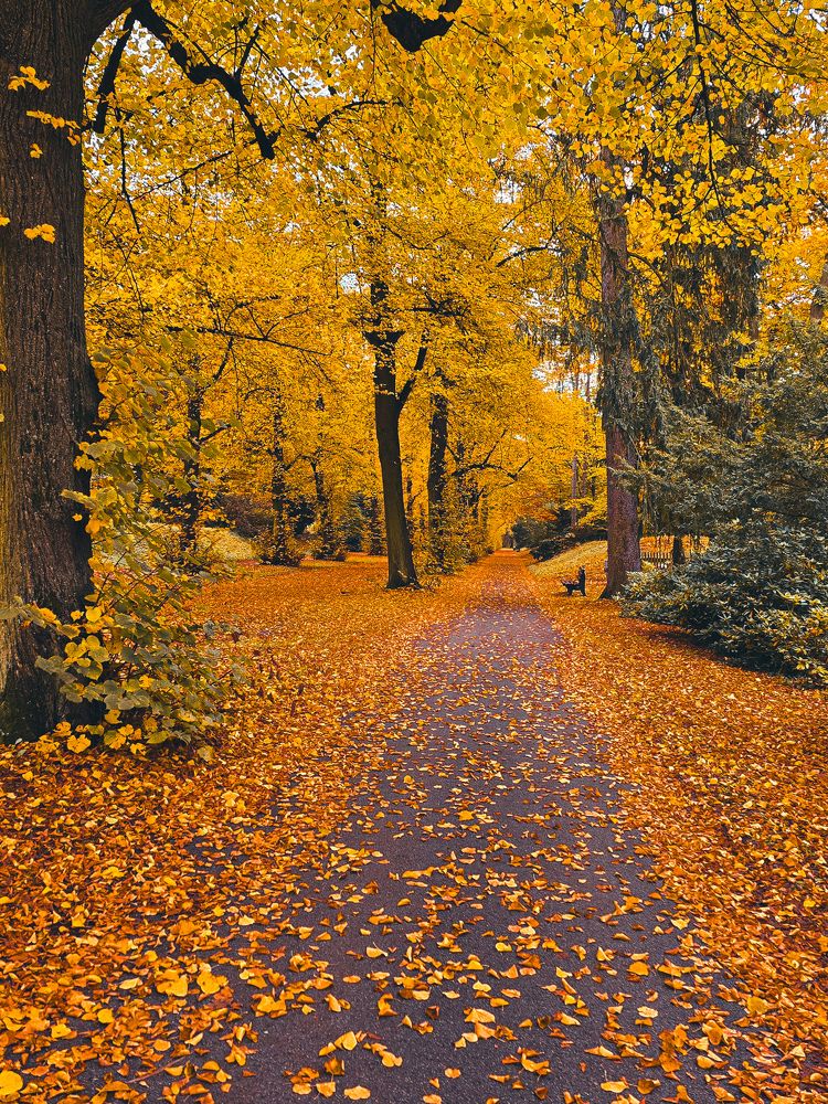 Photograph by Светлана