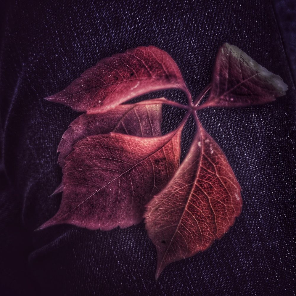 Photograph by Анатолий Вивдич