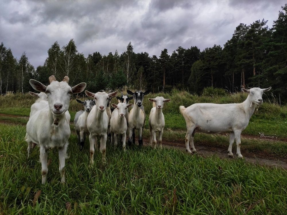 Photograph by Николай Захаров