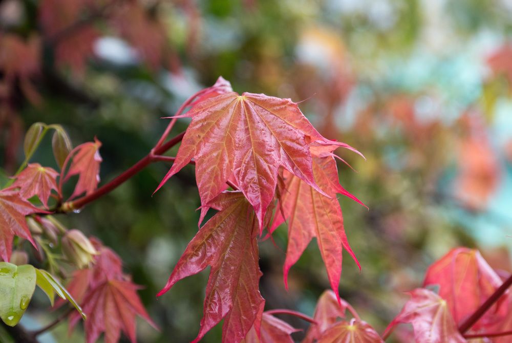 Photograph by Виктор Петров