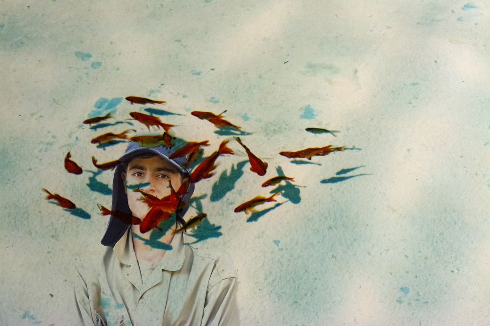 Photograph by محمودرضا نورایی