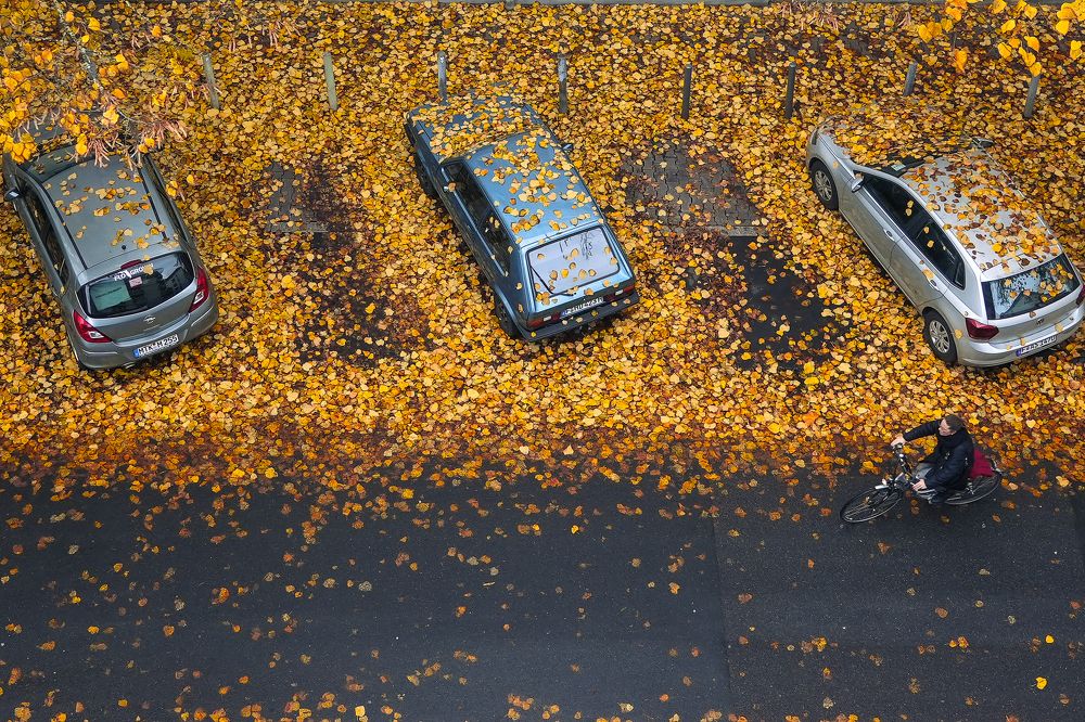 Фотография автора Jian Ma