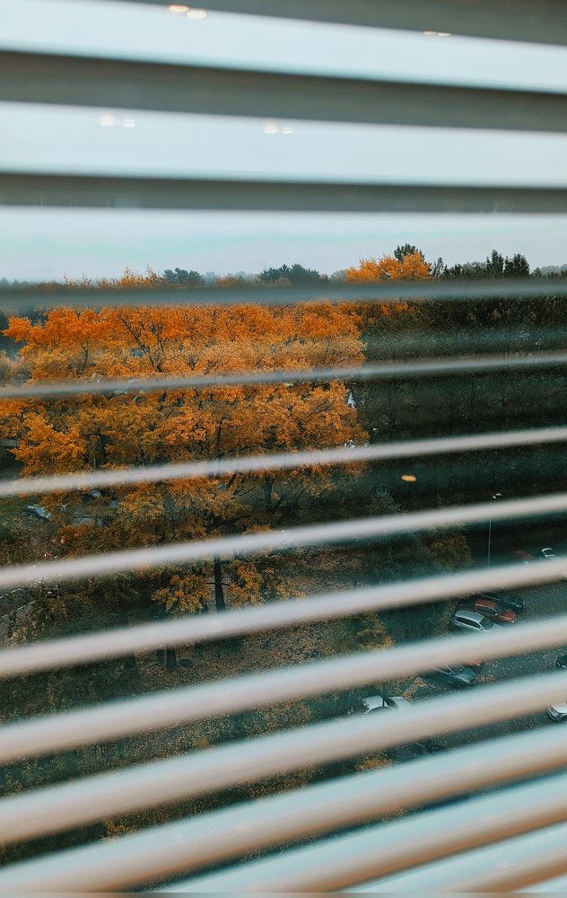 Photograph by Денис Терехин