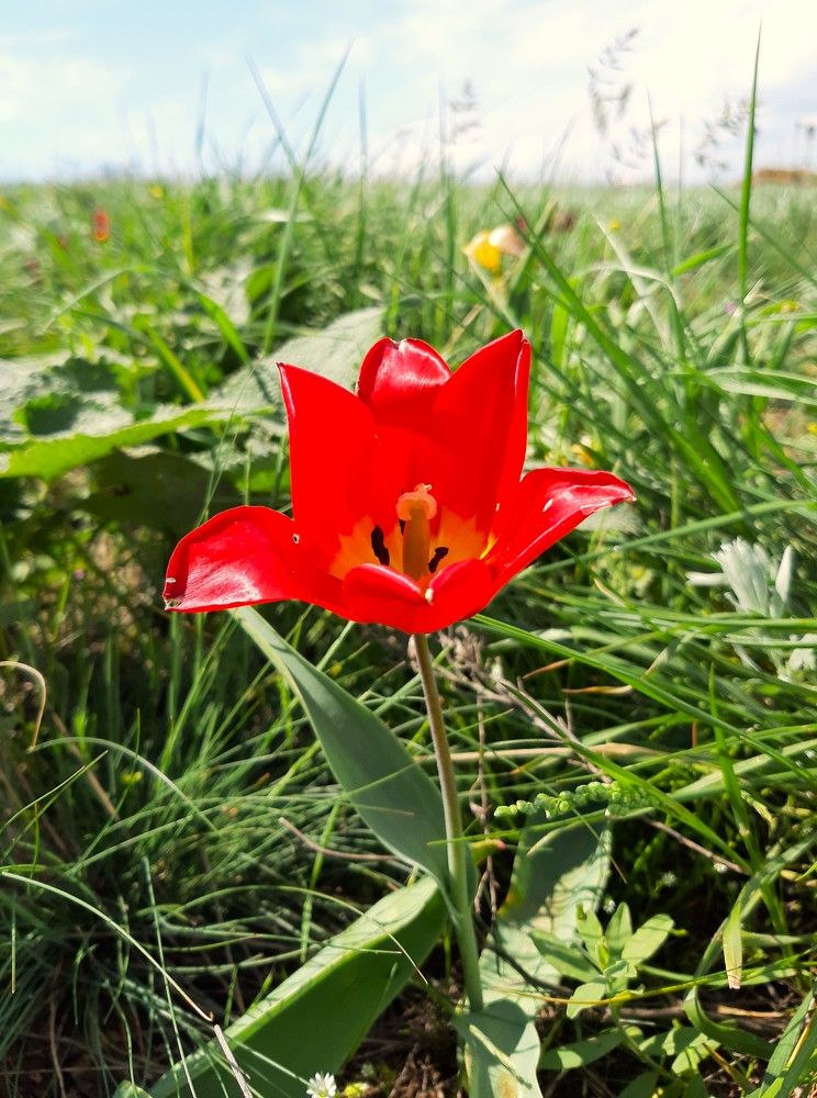 Photograph by Галина Глазкова