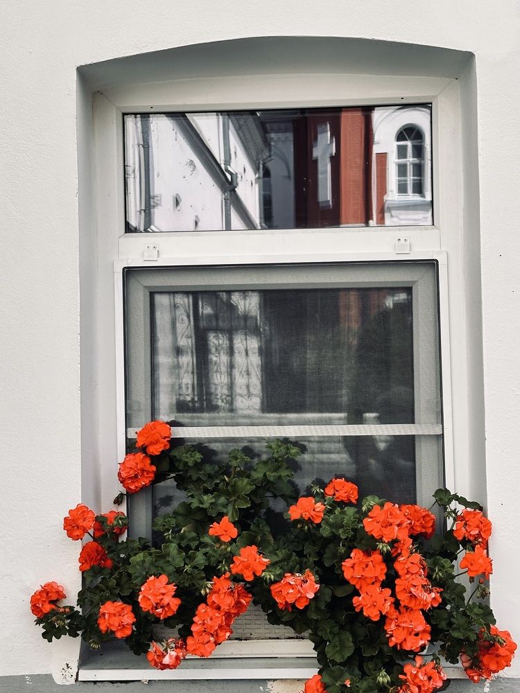 Photograph by Оксана Соколова