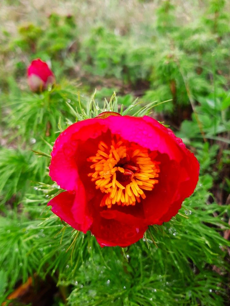 Photograph by Галина Глазкова