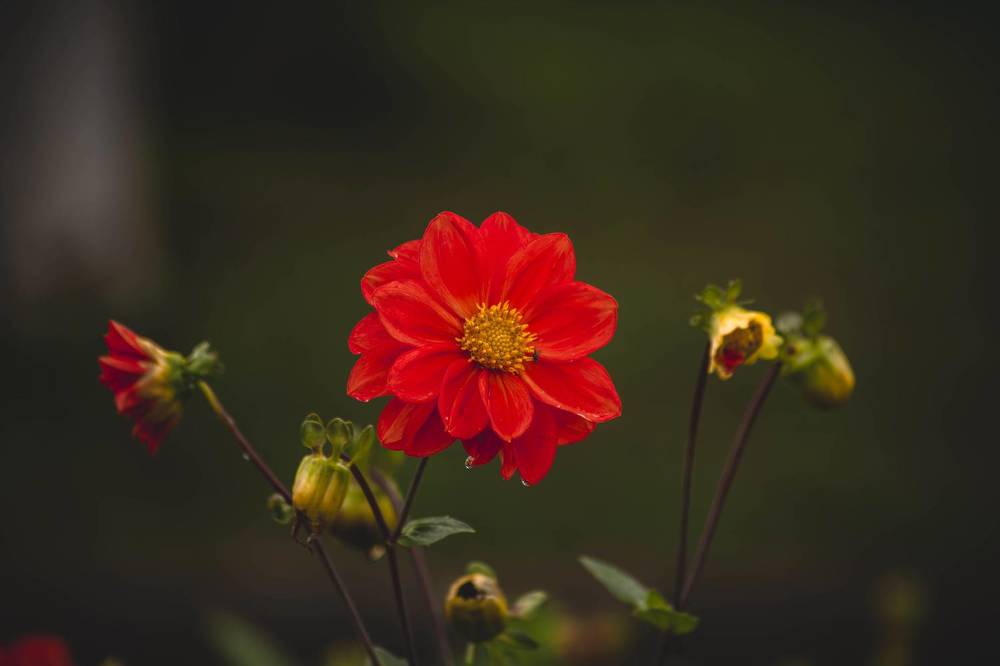 Photograph by Евгений Авдеев