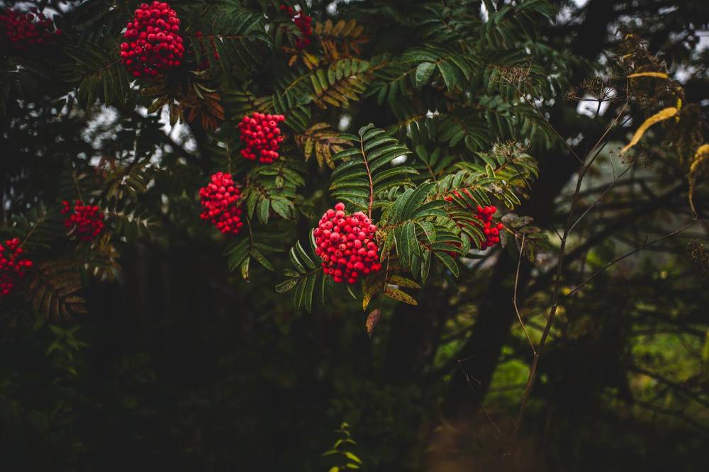 Photograph by Евгений Авдеев