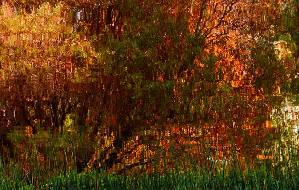 Photograph by محمودرضا نورایی