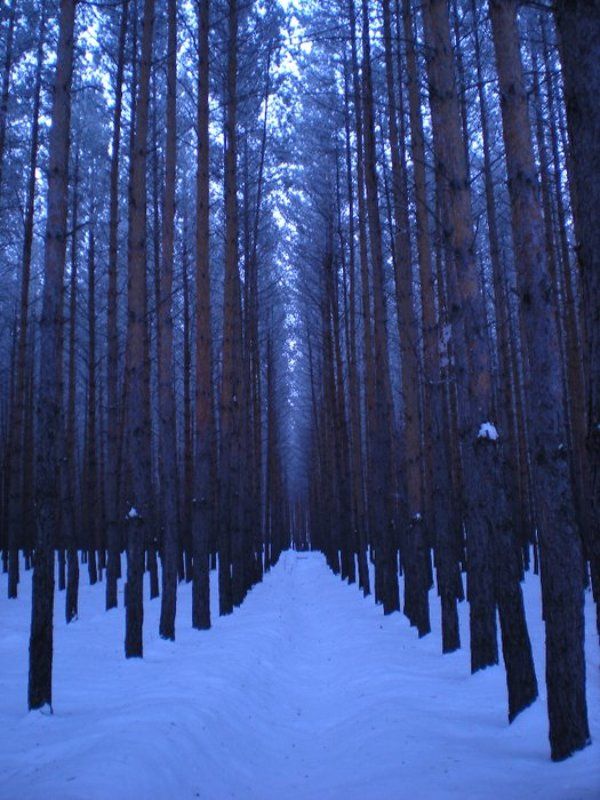 Karina Gazamatova, Russia