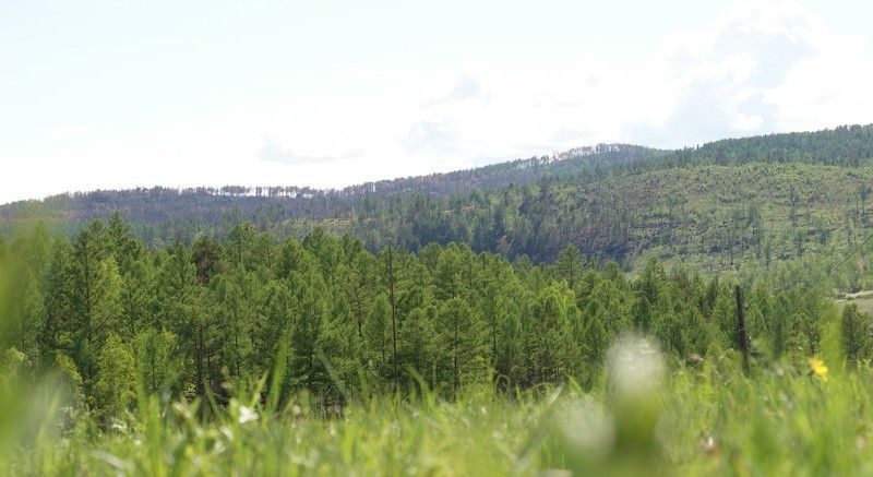 никита, Russia