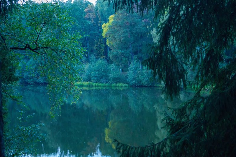 Sergey Erofeev, Belarus