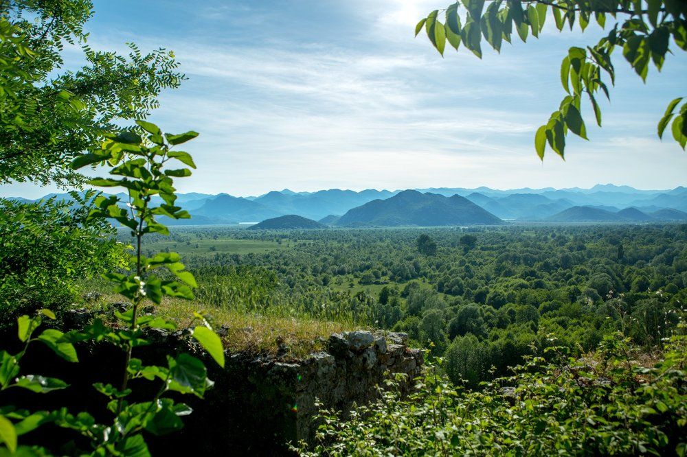 Природа Черногории