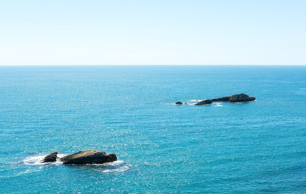 Каменные Киты