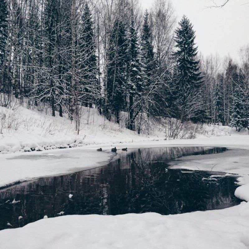 Ксения, Russia