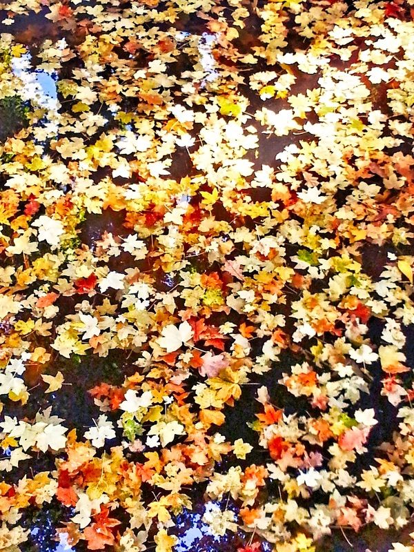 Наталия Леонова, Uzbekistan