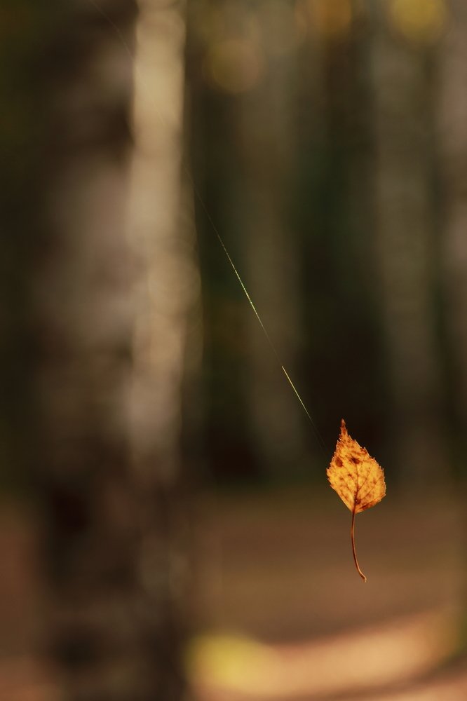 одиночество
