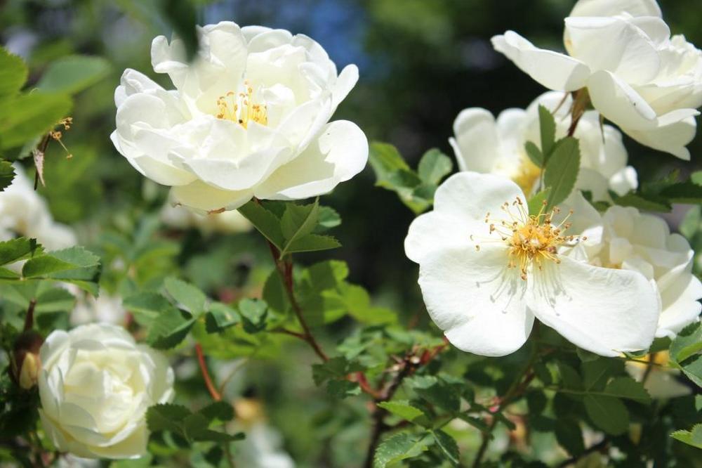 Photograph by Даша