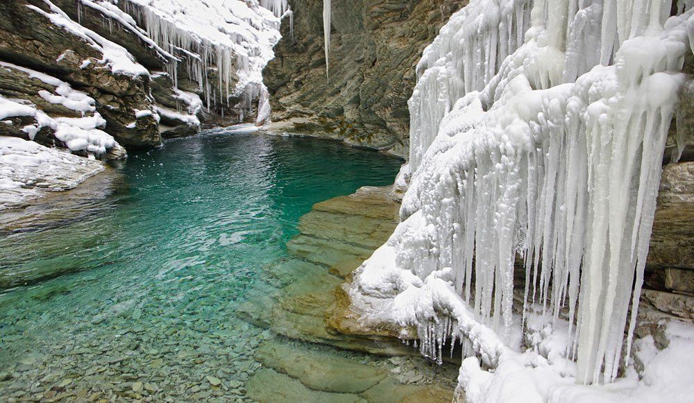 зимний изумруд