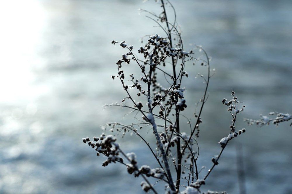 Photograph by Дмитрий