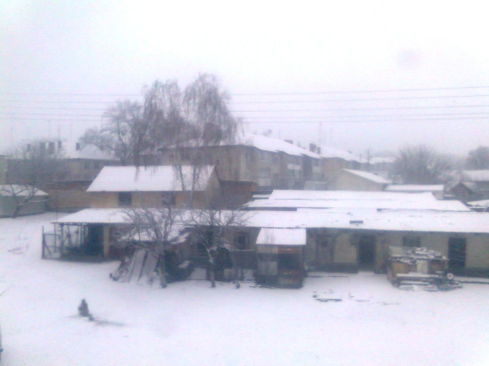 Photograph by limboi serhii