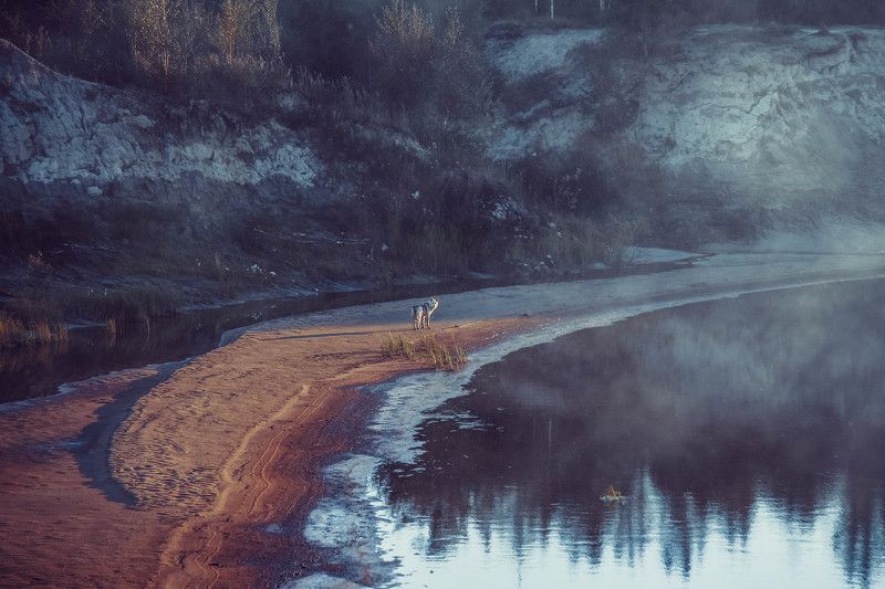 Андрей К, Russia