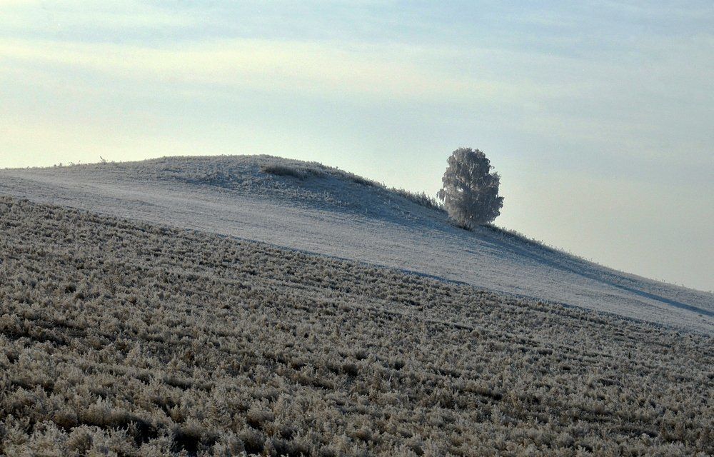 Одиночество