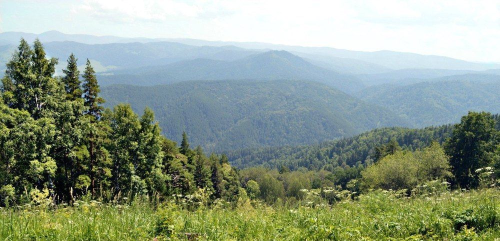 Созерцая Алтай