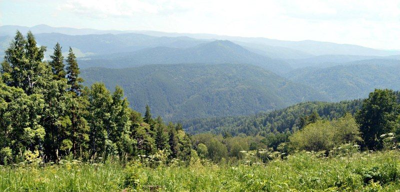 Дарья Евдокова, Russia