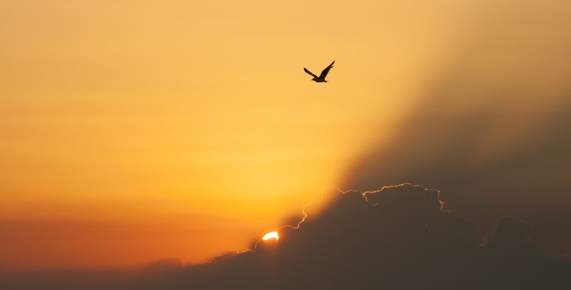 Ivan Kwiatkowski, Russia