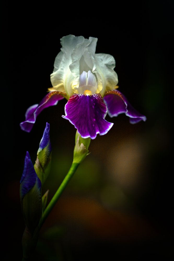 "Поговорим?!"