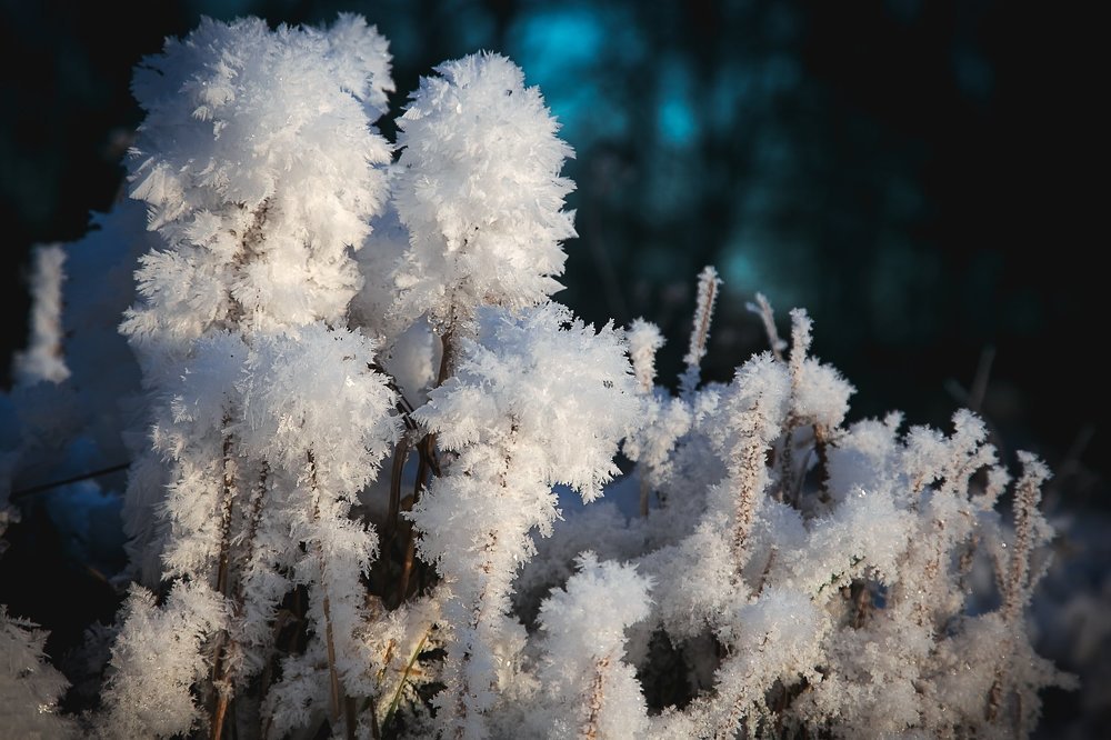 Зима снежная!..