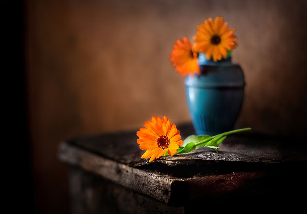 Последние цветы