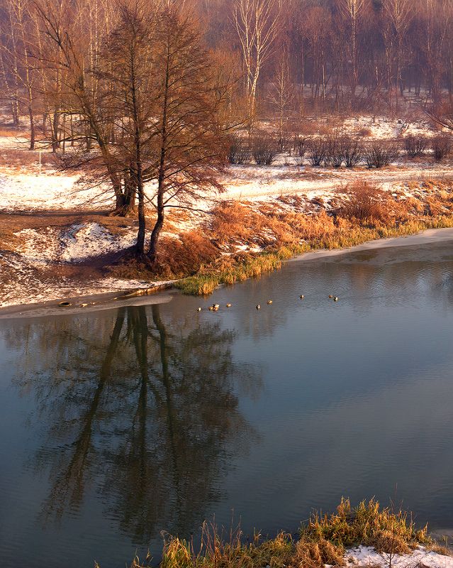 Mihail Molodkin, Russia