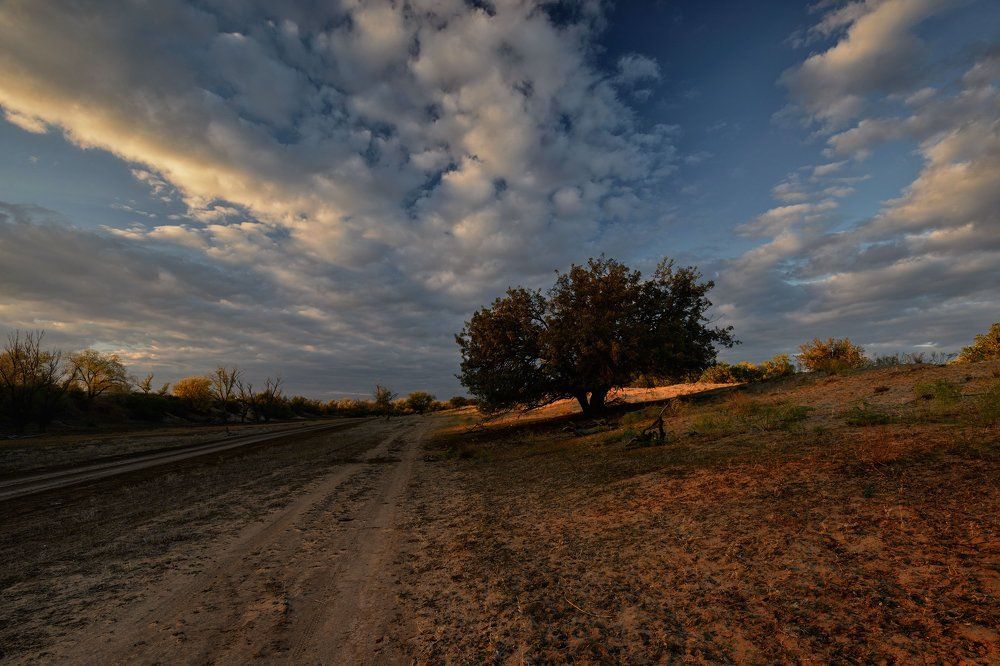 Фотография автора Игорь Баранов