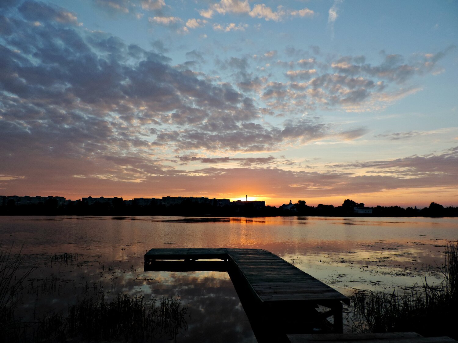 Photo #1122318
