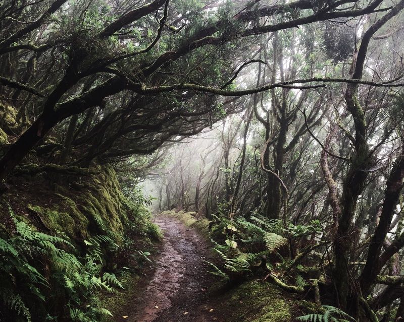 Анастасия, Russia