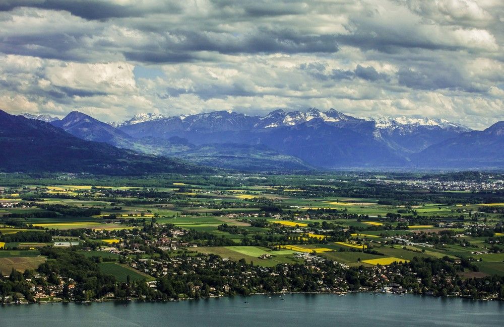 Без названия