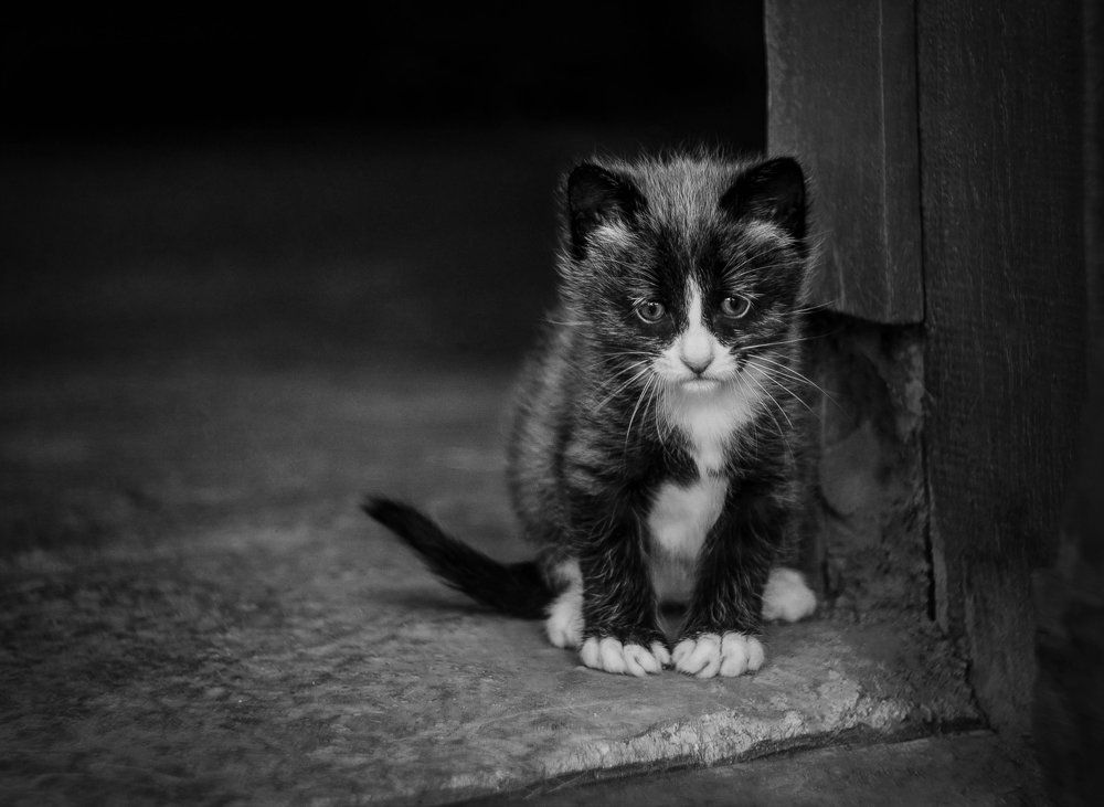 Настроение