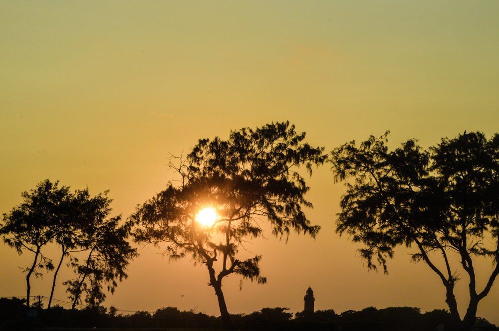 Both Sun and Love Cannot be Hidden!