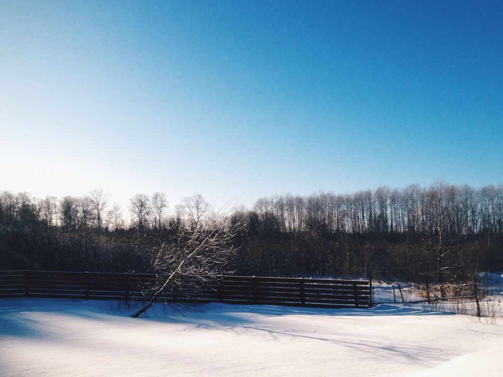 з и м н е е  о д и н о ч е с т в о .