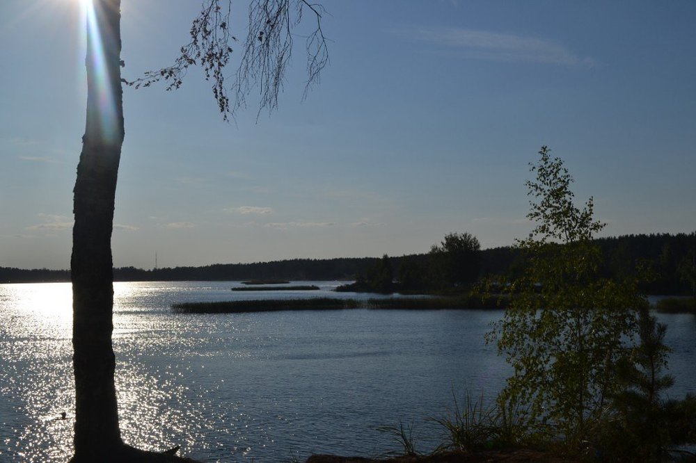 Летний день на Волге!