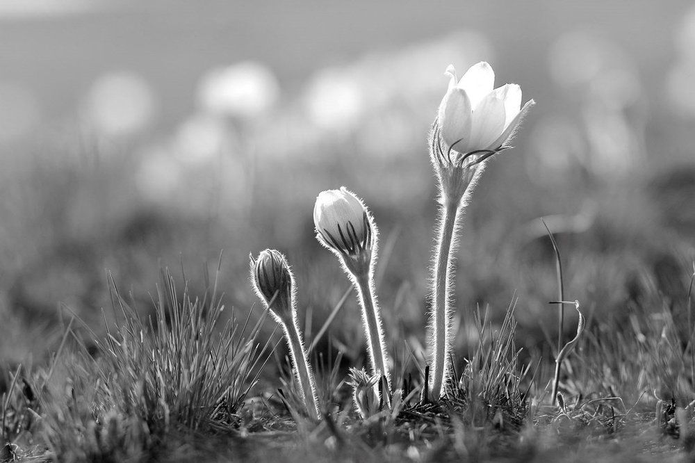 Этапы жизни