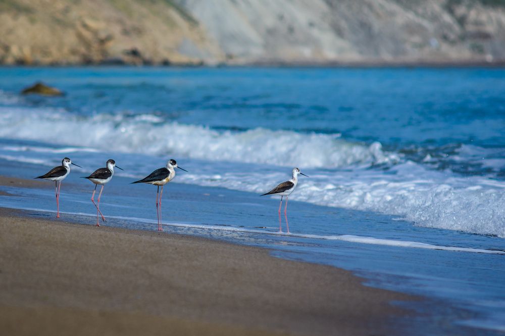 В ожидании прибоя
