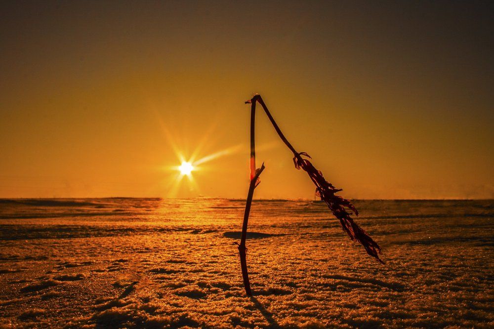 Яркое солнце заснеженной пустыни.