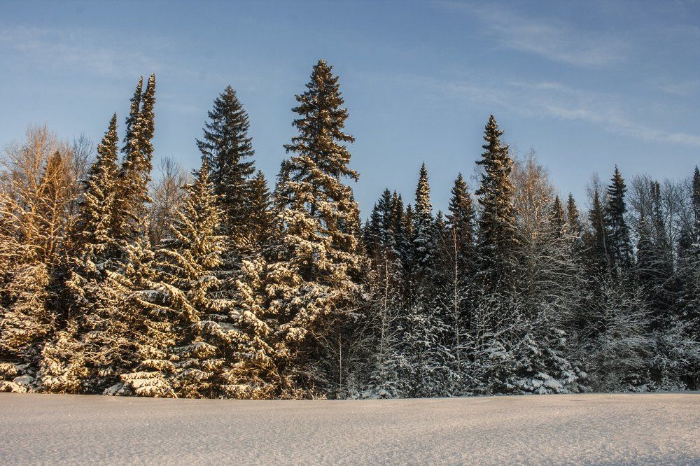 Тёмная и светлая сторона